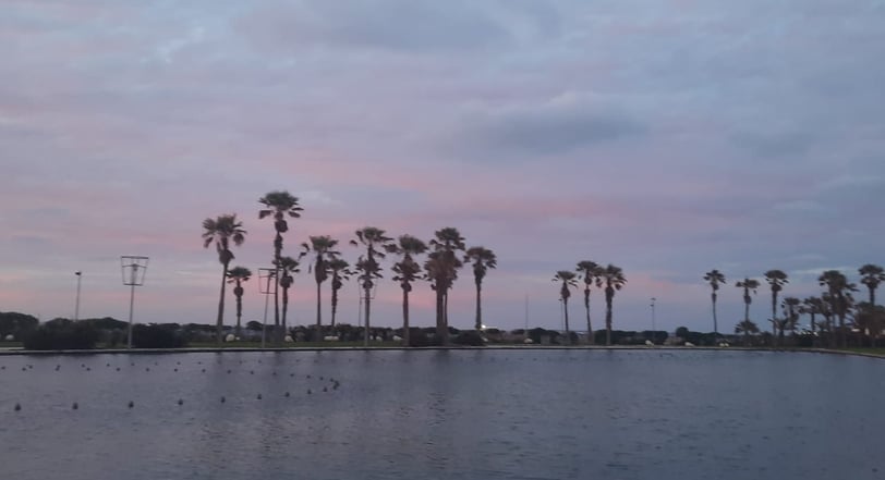 morocco casablanca a body of water with palm trees in the background