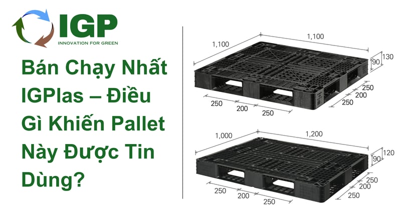 Pallet nhựa xuất khẩu bán chạy nhất tại IGPlas, phù hợp container 20FT và 40FT