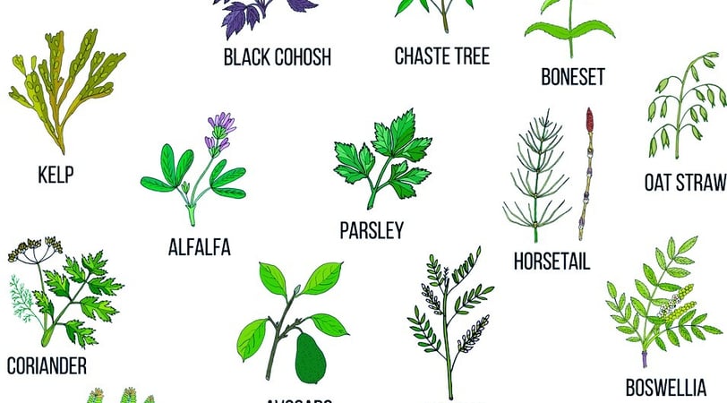 Best Medicinal Trees