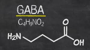 GABA: O Suplemento Natural Que Reduz o Estresse e Melhora o Sono
