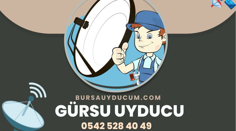 gürsu uyducu