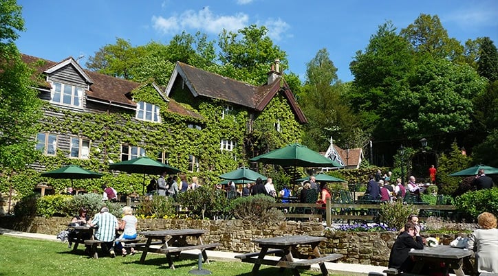The outside of The High Rocks (rear garden)