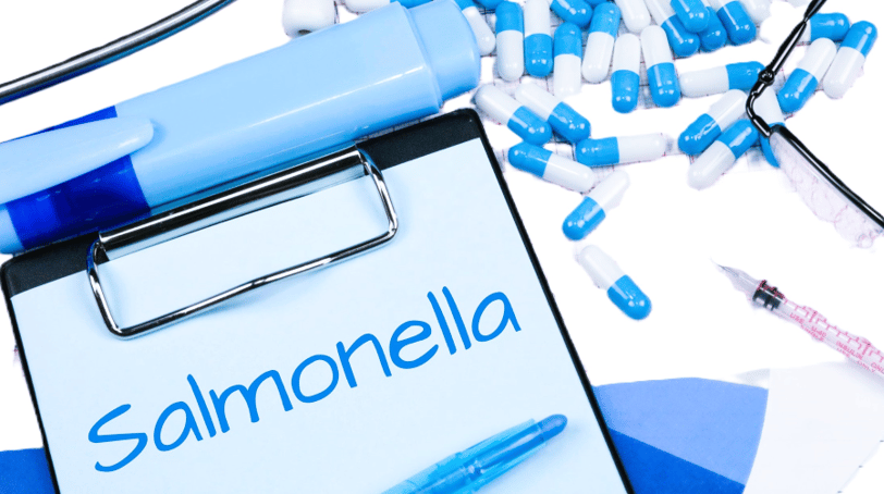 salmonella