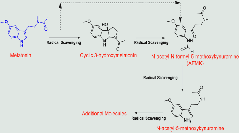 Melatonin