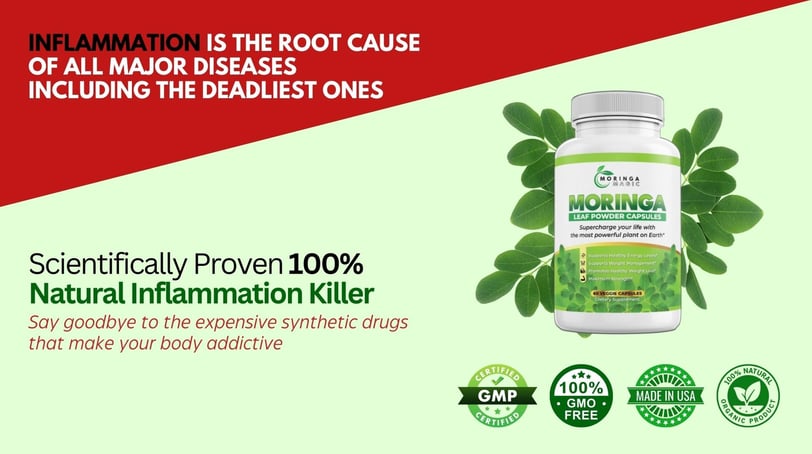 moringa powder benefits