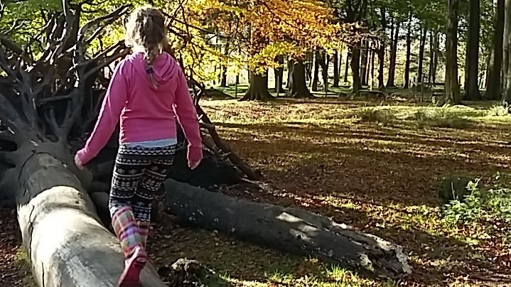 Child on log