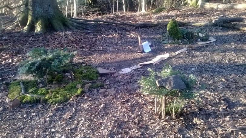 Trail
