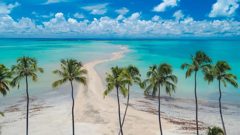 Maragogi (AL) praia no Brasil que parece com o Caribe. Seus coqueiros, areia branca e mar cristalino