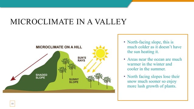 Graphic showing different microclimates