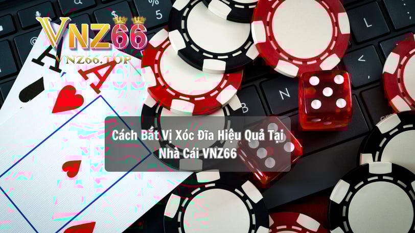 Cách Bắt Vị Xóc Đĩa Hiệu Quả Tại Nhà Cái VNZ66