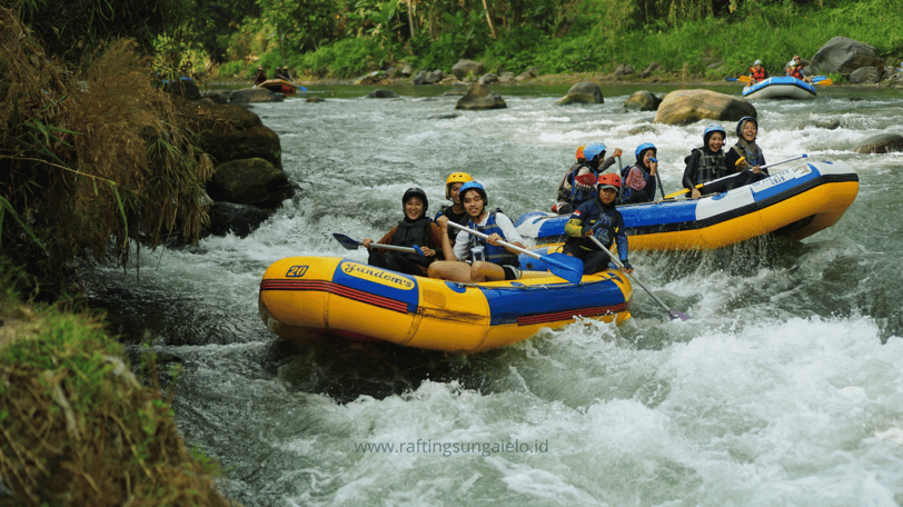 Menyusuri jeram Sungai Elo Magelang dalam pengalaman rafting yang aman dan menyenangkan.