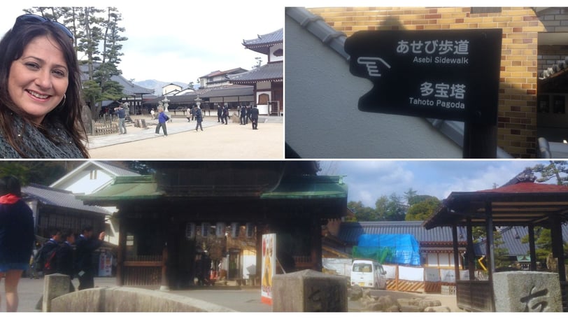 Foto da autora destacando outras atividades em Miyajima.