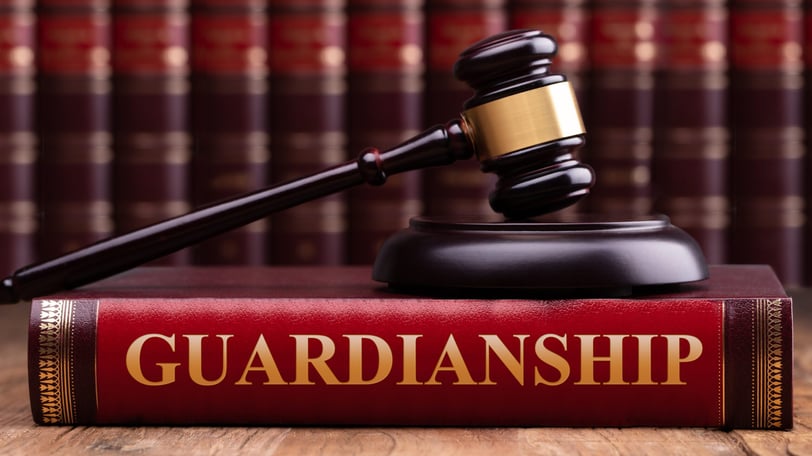 What is Guardianship?