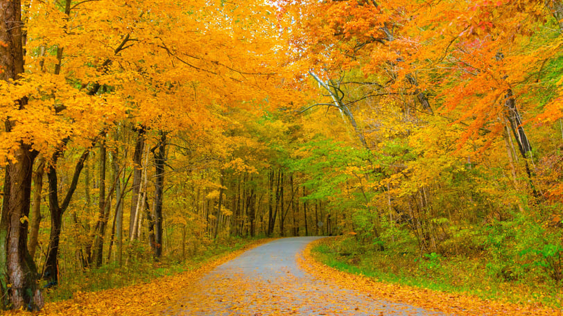 Mejores lugares para ver en otoño en Estados Unidos