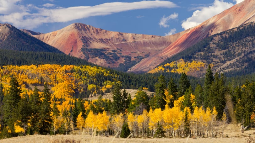 Otoño en Aspen, Coronado