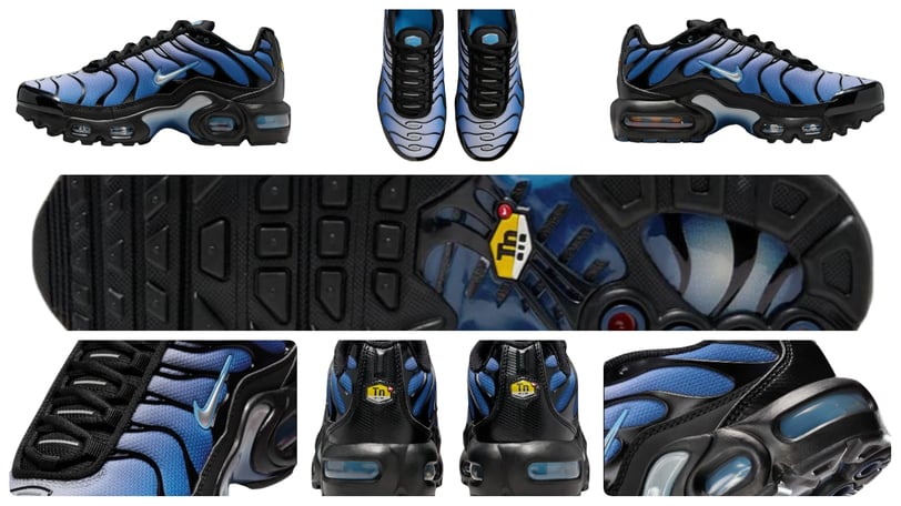 a pair of shoes with a blue and black design, Nike Air max Plus