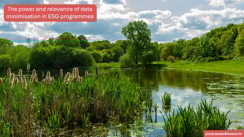 The power and relevance of data minimisation in ESG programmes