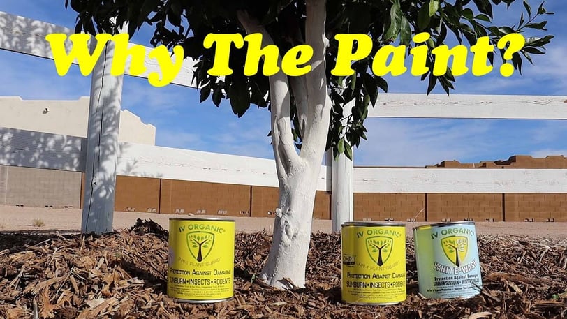 IV Organics - Why Paint Trees