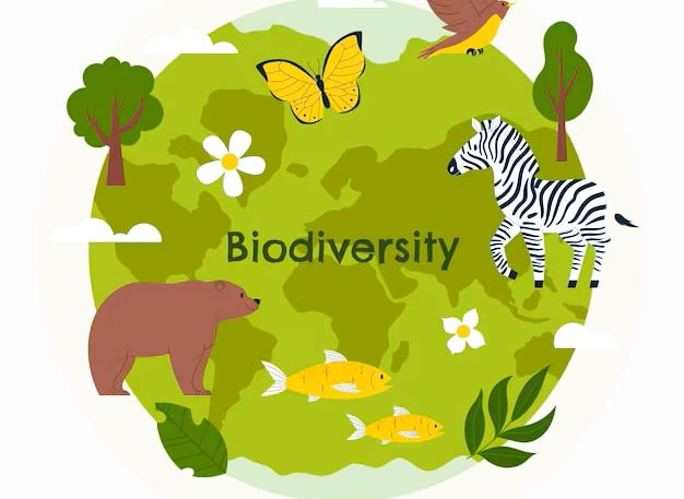 Protecting Biodiversity