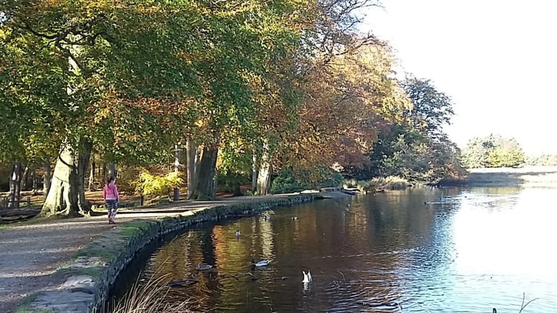 Longshaw Pond