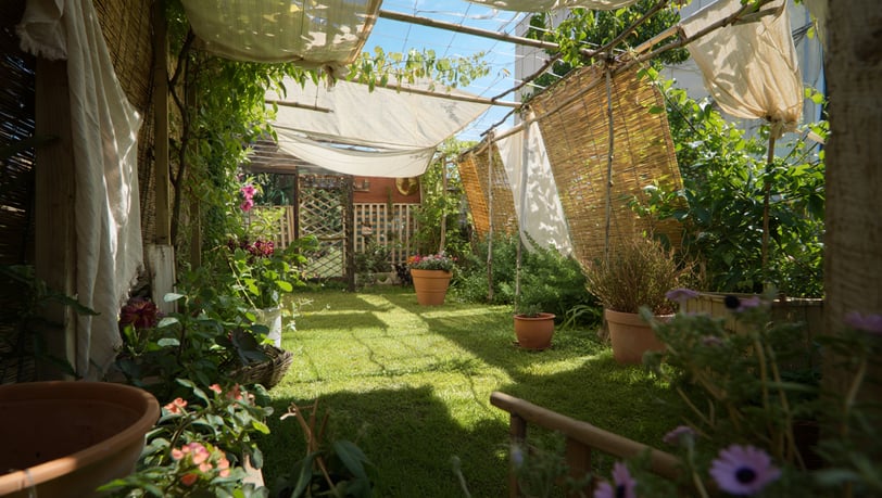 Aprenda a salvar suas plantas do calor excessivo. Soluções simples e baratas para proteger seu jardi