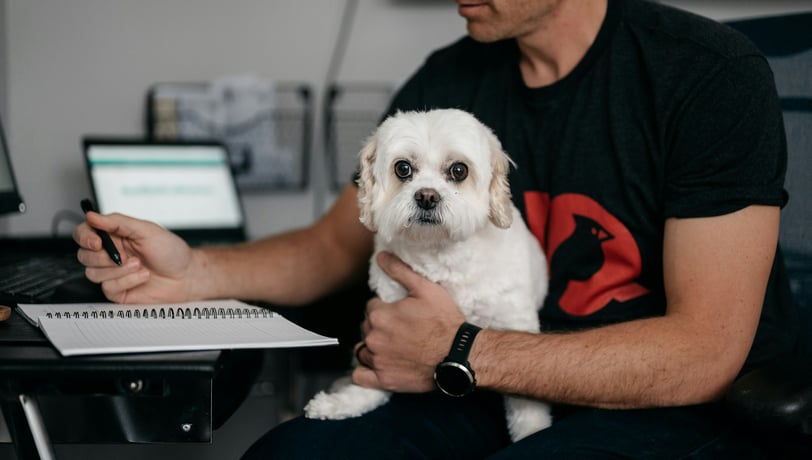 Working with dog