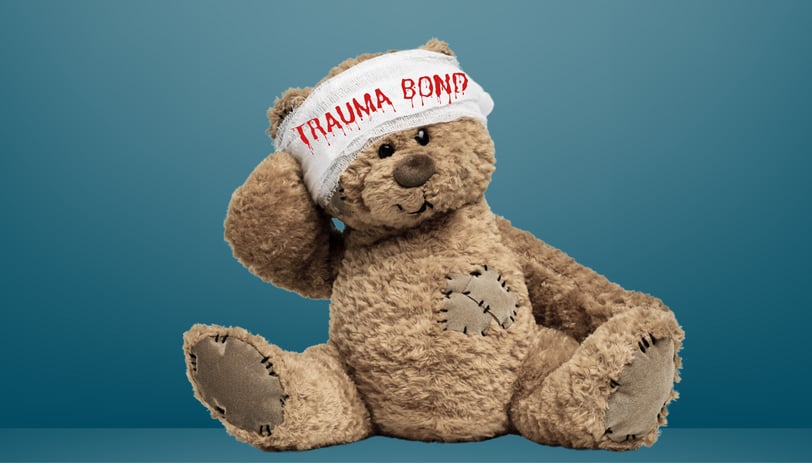a teddy bear with a bandage on his head