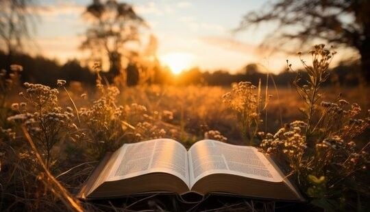 Finding More in Giving (Acts 20:35)