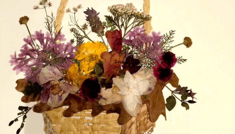 Flores Prensadas Regalos Originales