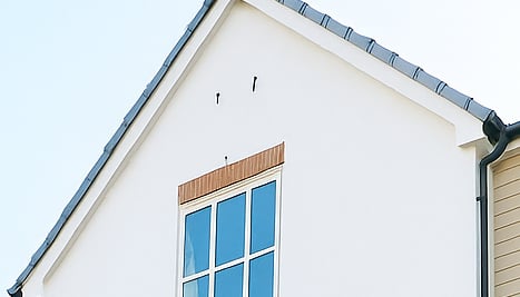 window cleaning using a pole brush