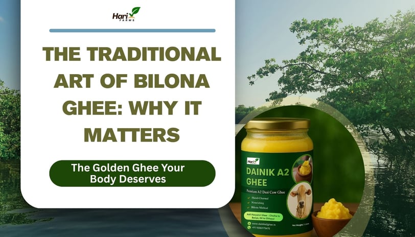 A2 Bilona ghee