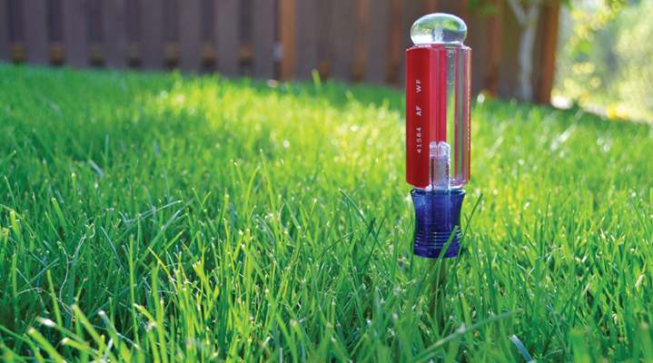 s Your Lawn Thirsty? Summer Watering Tips From The Experts. Credit: pristinephc