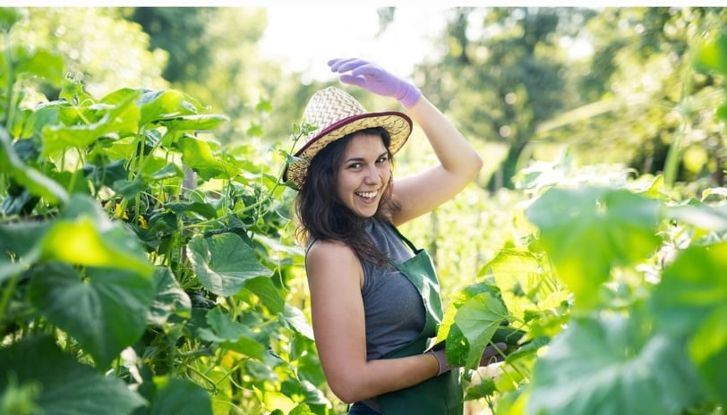 a cucumber field and a happy woman