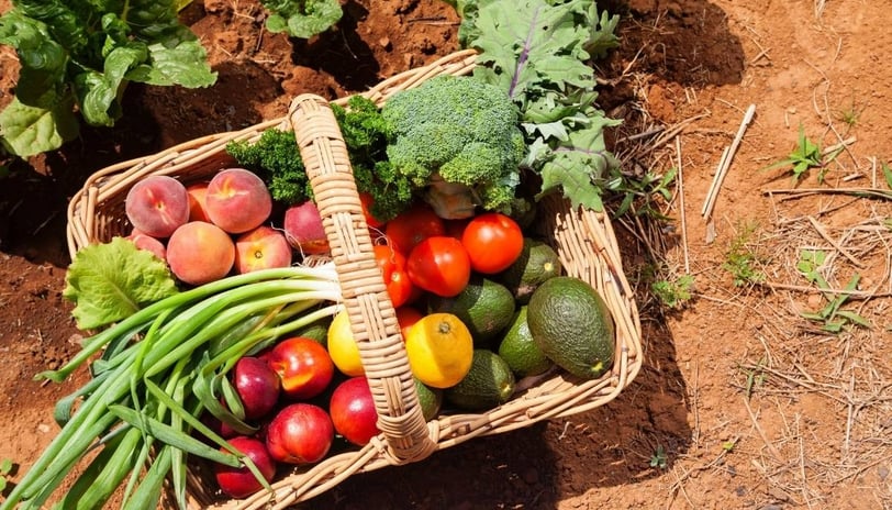 a basket full of organic vegetables and fruits