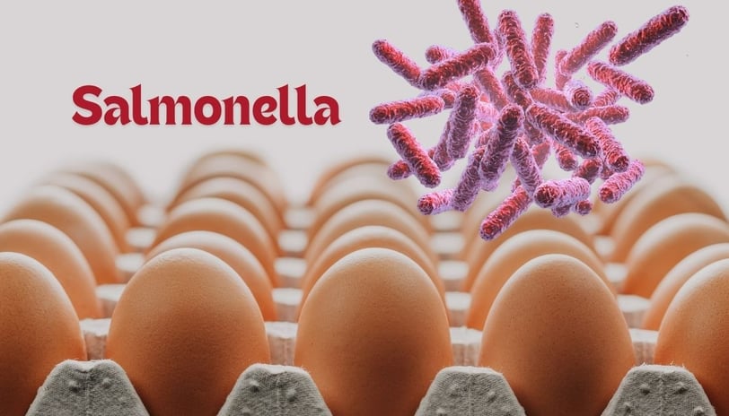 a group of eggshells in a carton. Salmonella