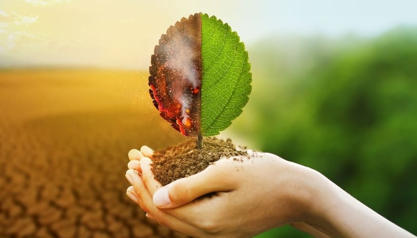 Save the planet 