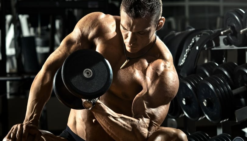 Vegan Bodybuilder