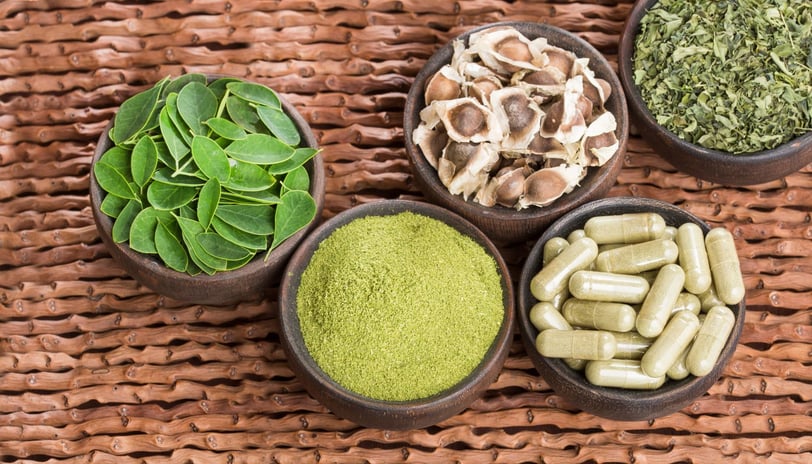 moringa plant benefits