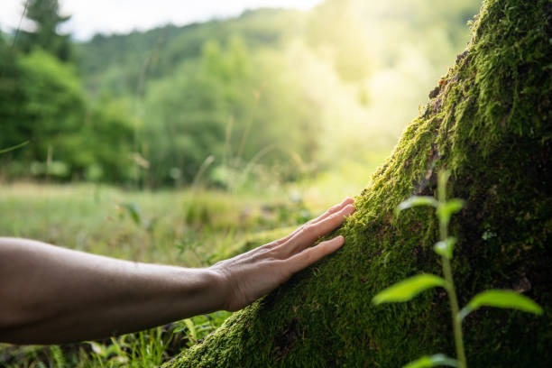 Connect with nature