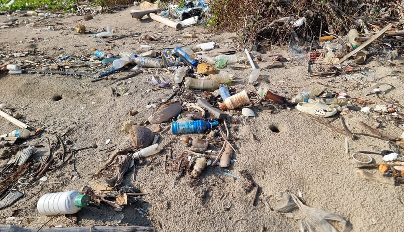 Mental Health and Pollution An Unseen Link