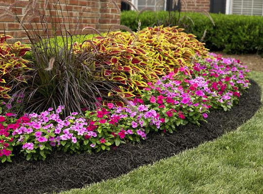 a flower bed in a garden with a brick wall