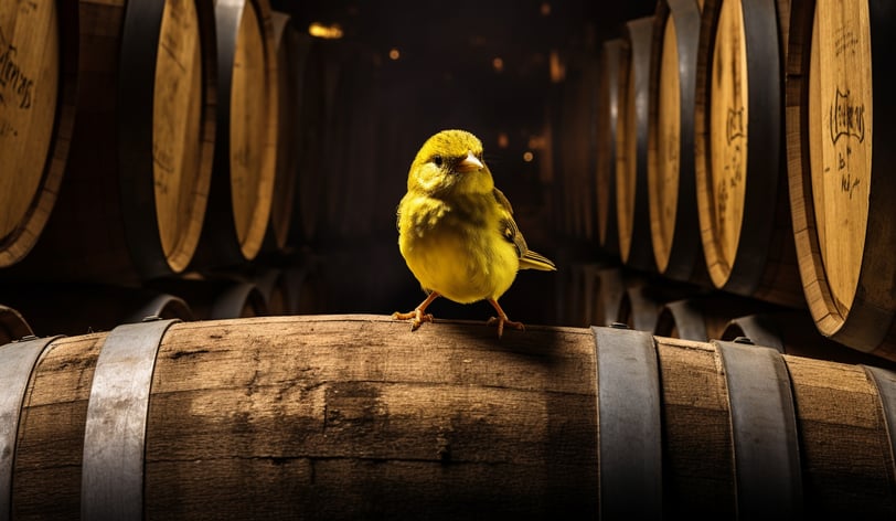 canary in the wine cellar Bordeaux