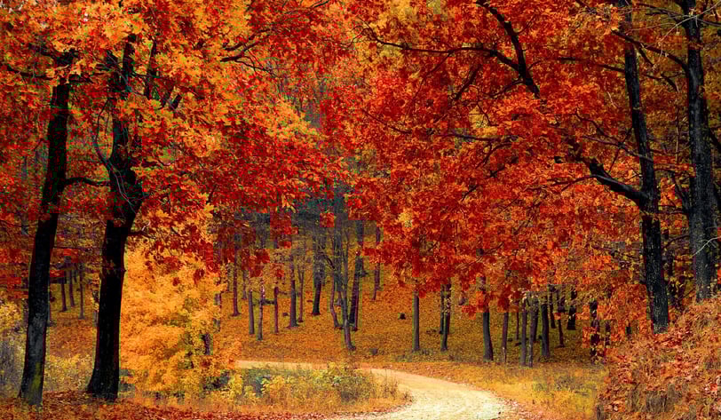 Otoño en Estados Unidos
