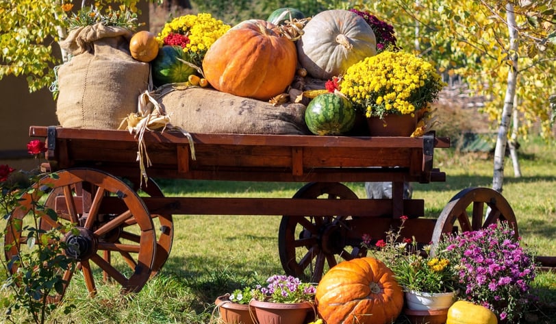 Festival de calabazas en Estados Unidos