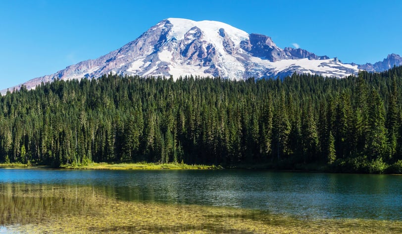 Parque Nacional Mount Rainier, Washington