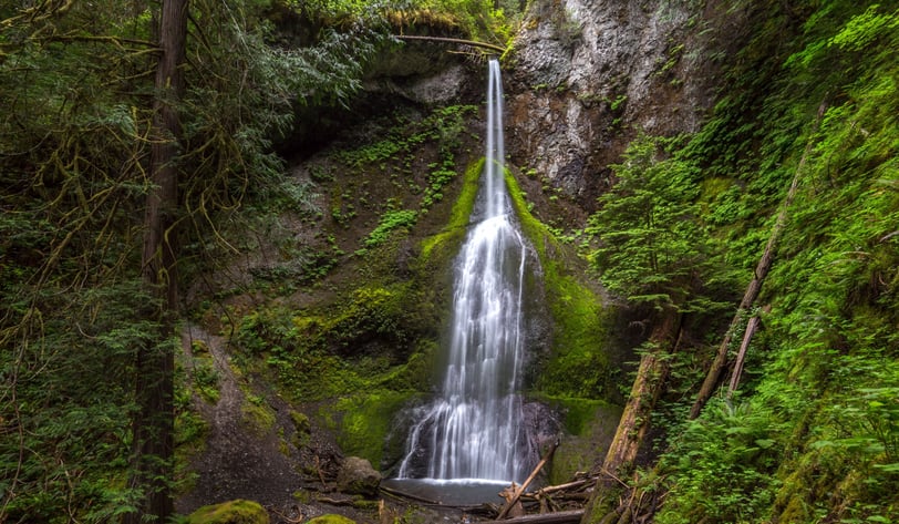 Parque Nacional Olympic, Washington
