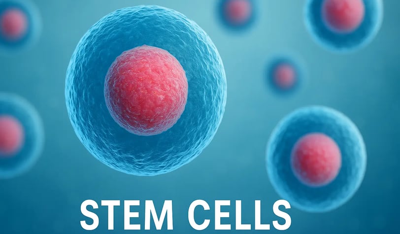 stem cells
