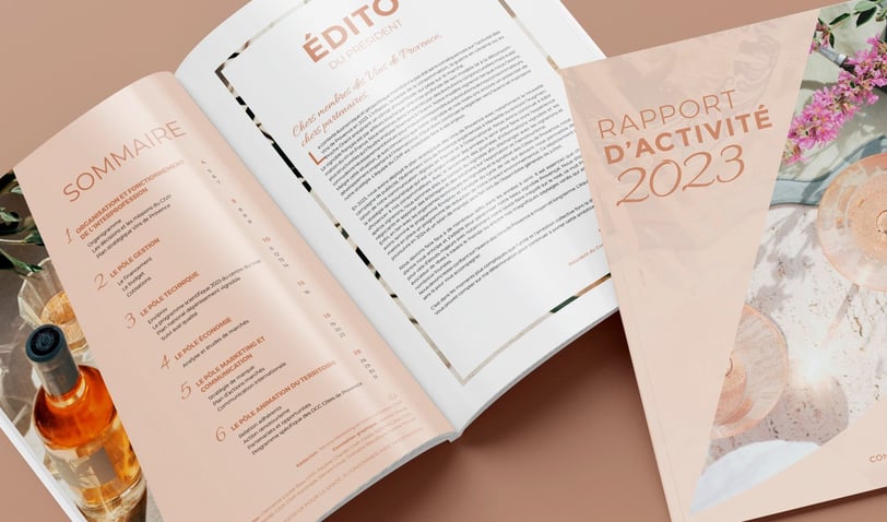 rapport d'activité