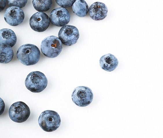mirtilos que representam superalimentos para revolucionar a dieta