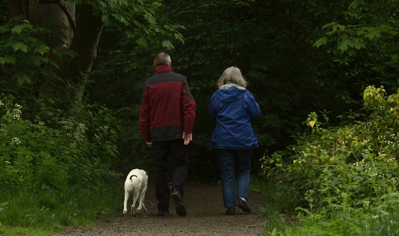 retirement strategies, saving early, budgeting,